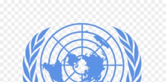 UN calls on world leaders to invest in young people UN calls on world leaders to invest in young people