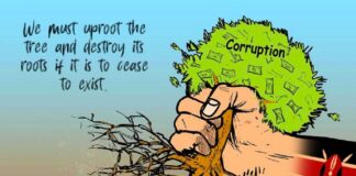 Politicians and the seed of corruption There is a saying that, whoever plants the seed of corruption, will surely eat out of it and if not by him, his children and children's children will surely partake of it.