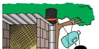 Good hygiene, a habit learn from young age