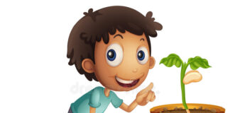 Life can not owe any man Honesty is a great value, desire it