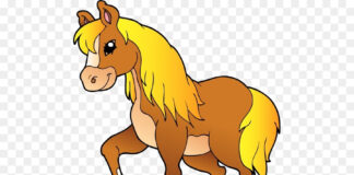 A Horse drinks 10 gallons of water a day!