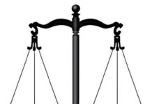 Undergraduate bags community service over fraud