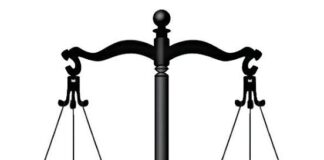 Undergraduate bags community service over fraud