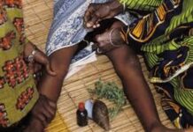 NOA ranks Ebonyi among leading states with FGM