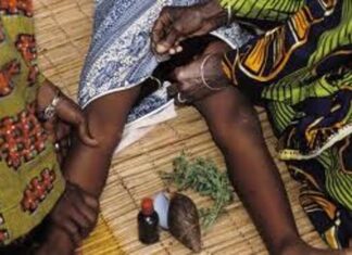 NOA ranks Ebonyi among leading states with FGM