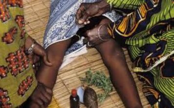 NOA ranks Ebonyi among leading states with FGM