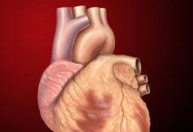 Parents implored to desist from foods dangerous to heart Parents implored to desist from food dangerous to heart