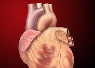 Parents implored to desist from foods dangerous to heart Parents implored to desist from food dangerous to heart