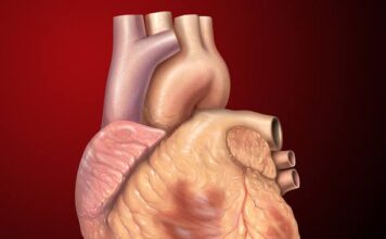 Parents implored to desist from foods dangerous to heart Parents implored to desist from food dangerous to heart