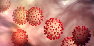 181 students, staff contract COVID in Lagos private school 181 students, staff contract COVID in Lagos private school