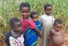Micronutrient deficiency now persist in Nigerian children -CS-SUNN