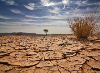 African children and effect of climate change on their education