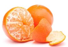 Take advantage of Tangerine season for your kids