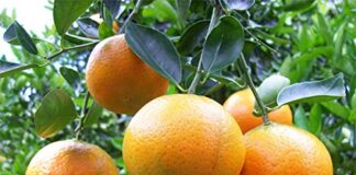 Life is a circle, be wary of what you sow in the new year Why you must be wary of what you sow