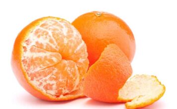 Take advantage of Tangerine season for your kids