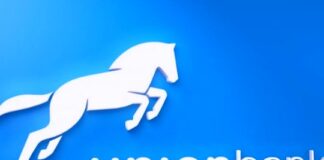 Boy,11, emerges winner of Union Bank Robotics competition Boy,11, emerges winner of Union Bank Robotics competition