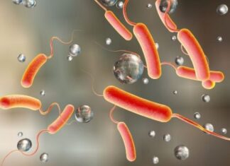 Cholera kills two children in Ogun