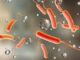 Cholera kills two children in Ogun