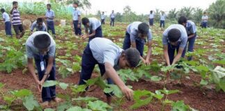 Use pupils for domestic works and loose your jobs, Akeredolu warns Ondo teachers
