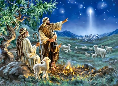Shepherd watch their sheep at Christmas