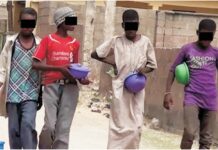 Kano Gov laments foreign Almajiris’ infiltration