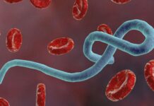 Fear Grip Sierra Leone over Suspected Ebola Outbreak in Guinean Fear Grip Sierra Leone over Suspected Ebola Outbreak in Guinean