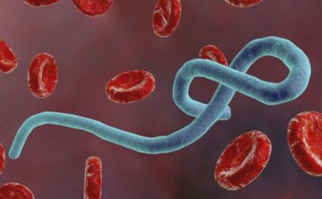 Fear Grip Sierra Leone over Suspected Ebola Outbreak in Guinean Fear Grip Sierra Leone over Suspected Ebola Outbreak in Guinean