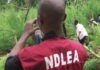 New things to know about NDLEA New things to know about NDLEA