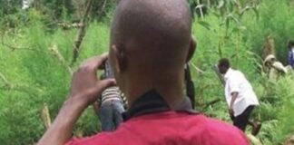 New things to know about NDLEA New things to know about NDLEA