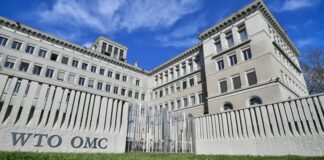 What you need to know about WTO What you need to know about WTO