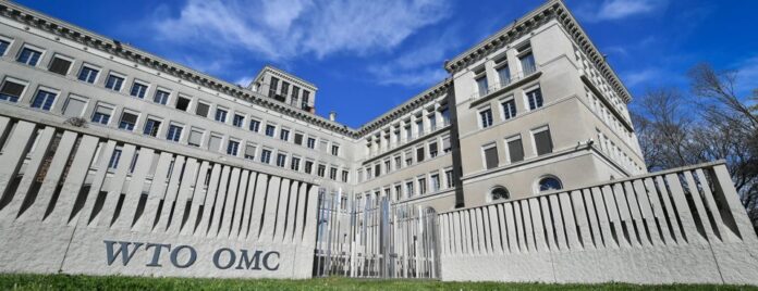 What you need to know about WTO