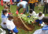 U.S. Consulate, YALI Alumni raise students’ awareness on tree planting U.S. Consulate, YALI Alumni raise students' awareness on tree planting