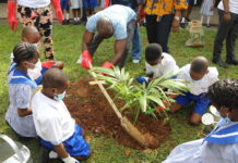 U.S. Consulate, YALI Alumni raise students’ awareness on tree planting U.S. Consulate, YALI Alumni raise students' awareness on tree planting