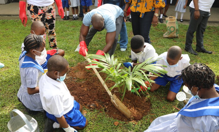 U.S. Consulate, YALI Alumni raise students' awareness on tree planting