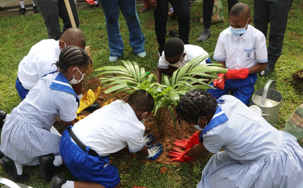 U.S. Consulate, YALI Alumni raise students' awareness on tree planting