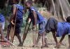 Environmental Polio infects 120 children in Nigeria Environmental Polio infects 120 children in Nigeria