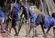 Environmental Polio infects 120 children in Nigeria Environmental Polio infects 120 children in Nigeria