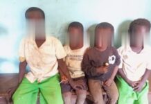 Doma kidnapped school pupils rescued