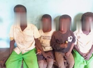 Doma kidnapped school pupils rescued