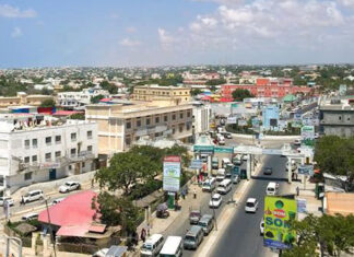 Somalia: A Safari of Stories and Smiles!